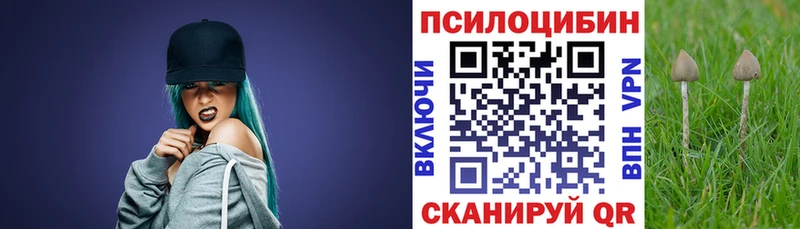 даркнет сайт  Горно-Алтайск  Галлюциногенные грибы Psilocybe 