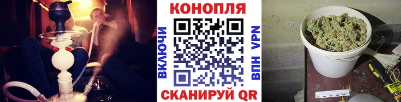 Бошки Шишки планчик  где продают наркотики  Горно-Алтайск 
